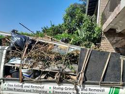 Best Basement Cleanout  in Big Lake, MN
